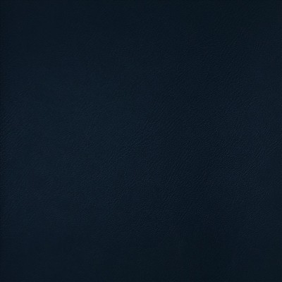 Kasmir TOP TIER         NAVY            